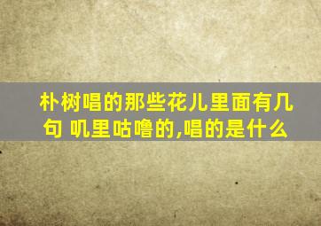 朴树唱的那些花儿里面有几句 叽里咕噜的,唱的是什么